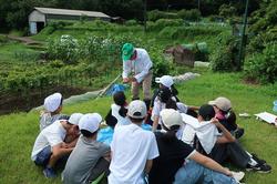 探した土器のかけらを確認