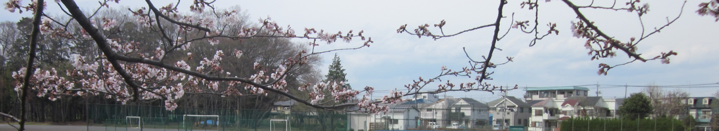 令和4年度 青梅市立東小学校