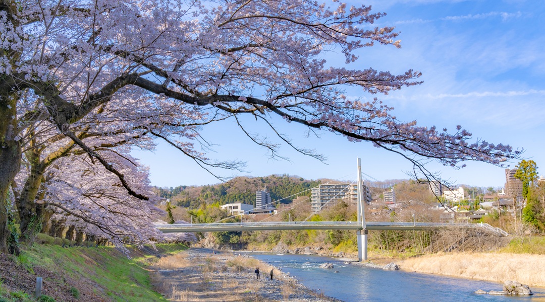 釜の淵公園の画像