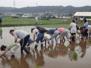 親子農業体験会・田植え