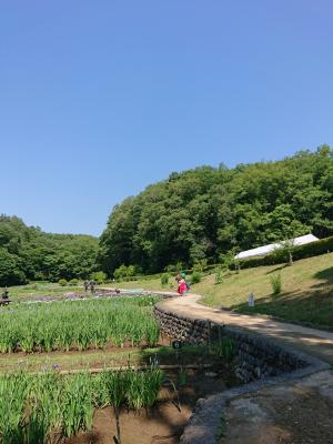 吹上しょうぶ公園