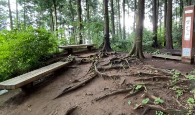 雷電山山頂