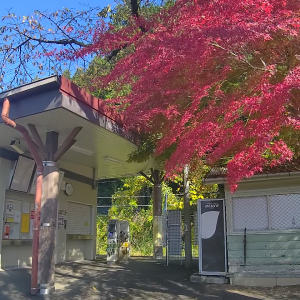 石神前駅（秋）