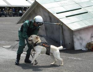 警備犬による要救助者の捜索