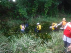 生き物を探している様子