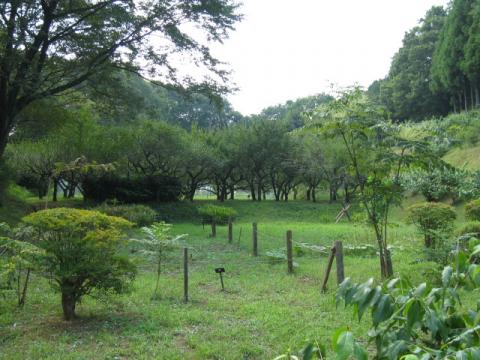 展示見本園の画像