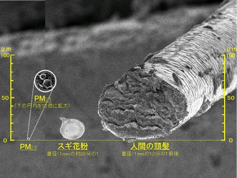 微小粒子状物質（PM2.5）の画像