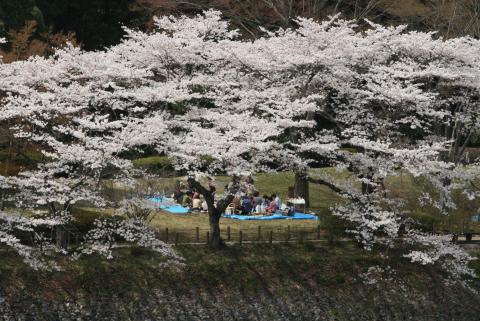 釜の淵公園の画像