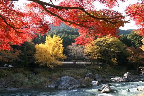 御岳渓谷の画像