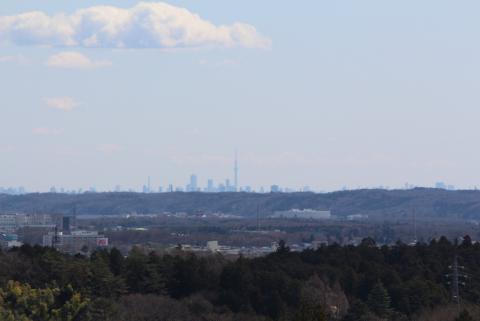 東京スカイツリー方向の眺望の画像