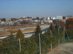学校から見える景色の画像9