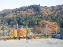 秋の画像1