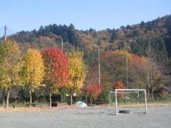 秋の画像2