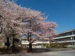 「豊かな学びの場　わかくさ」の充実の画像