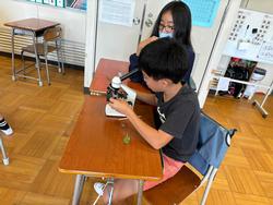 9月18日（水曜日）6年理科「植物の体の働き」の画像2