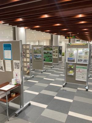 パネルの展示を実施している様子