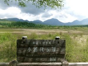 小田代々原