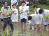 田植え２