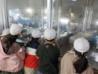 給食センター見学の様子