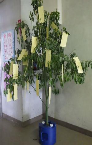 七夕願いを込めて①