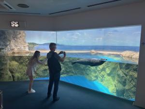 新江ノ島水族館