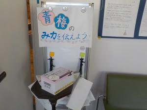 掲示物