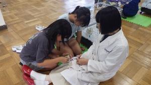 爪切りに挑戦