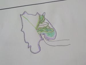授業の様子