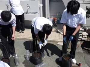 支柱立て