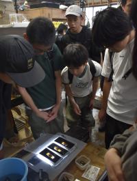 バックヤード２