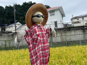吹上小学校の田んぼ