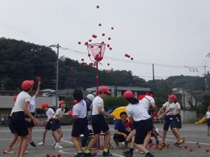 チェッコリ玉入れ