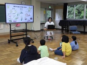 うさぎのえさは