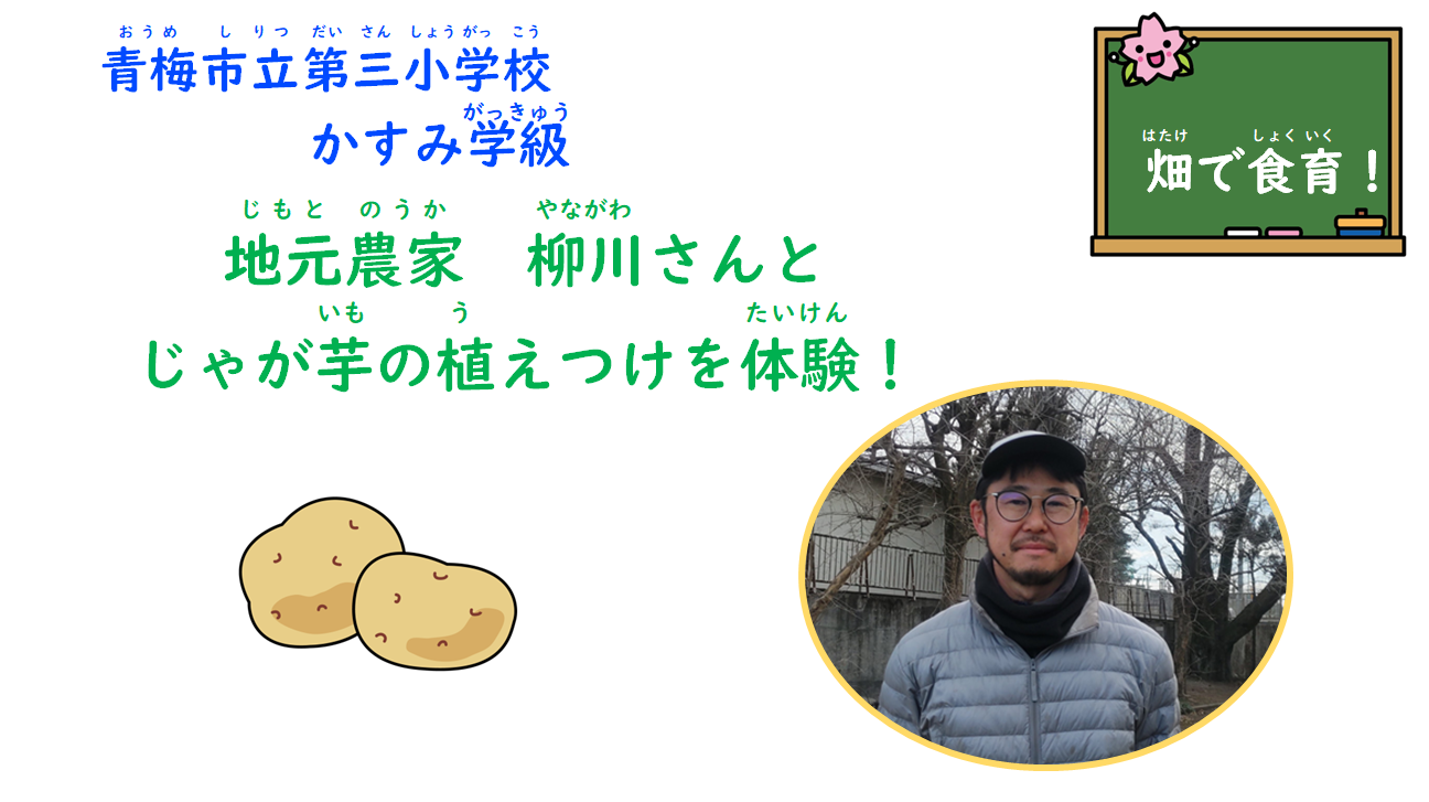 じゃが芋の植えつけ