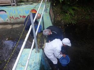 ひまわりプールそばで