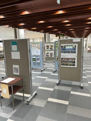 環境活動のパネル展示を行っている様子