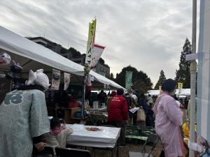 小千谷市のようす