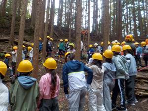 林業体験