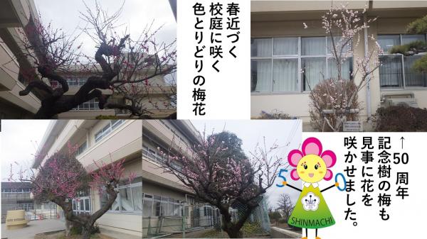 ホームページ画像