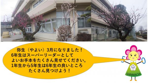 ホームページ画像3月