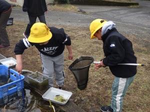 ポンプの中にも卵