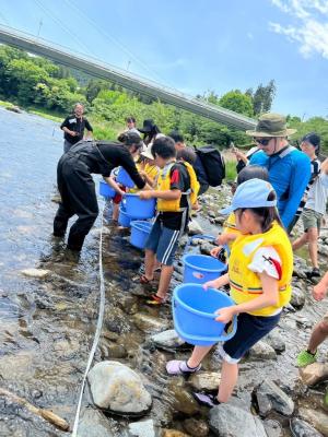 鮎を放流している様子