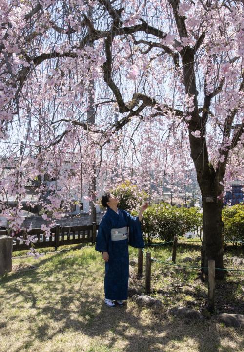 写真撮影イメージ