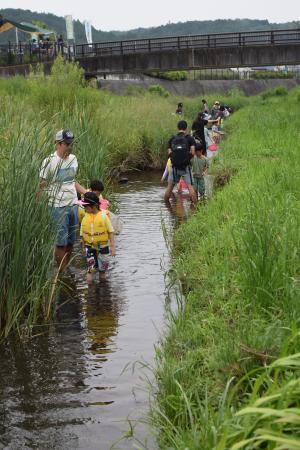 川遊びを楽しんでいる様子