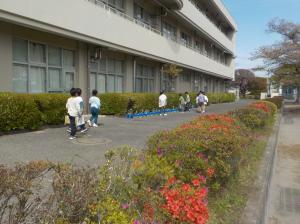 春探しをしている写真①