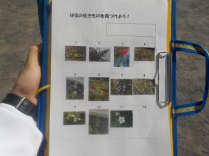ワークシート