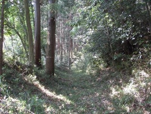 勝沼城跡の画像