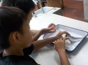 授業の様子