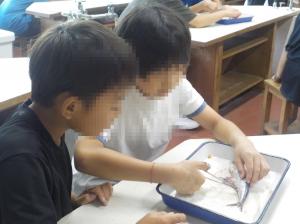授業の様子