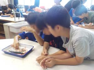 授業の様子